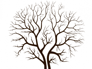 310x233 Leafless Autumn Tree Design Vector Free Vectors Ui Download