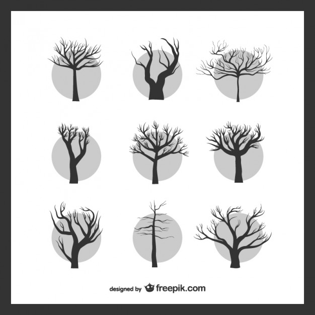 626x626 Leafless Trees Pack Vector Free Download