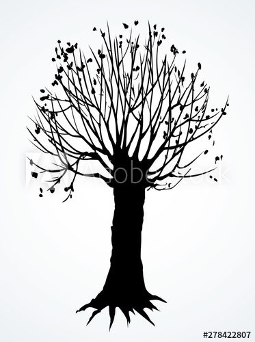 373x500 Old Leafless Trees Vector Drawing