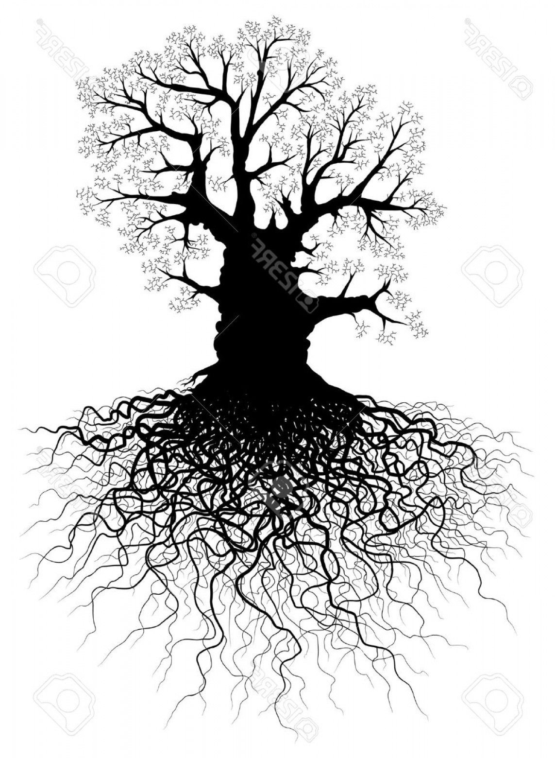 Leafless Tree Vector at Vectorified.com | Collection of Leafless Tree ...