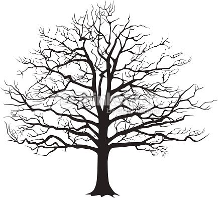 434x394 Vector Illustration Clipart Oak Tree Drawings, Tree Silhouette