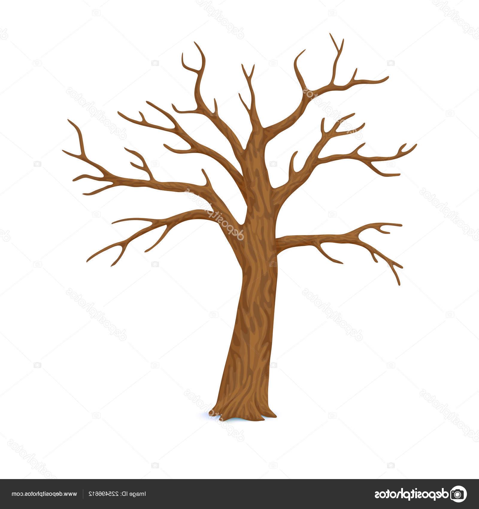 Cartoon Leafless Tree Clipart Best - vrogue.co