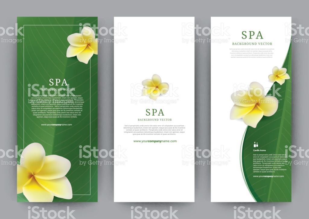 1024x727 Template Banner Spa Frangipani Flower, Green Leaf Modern Design