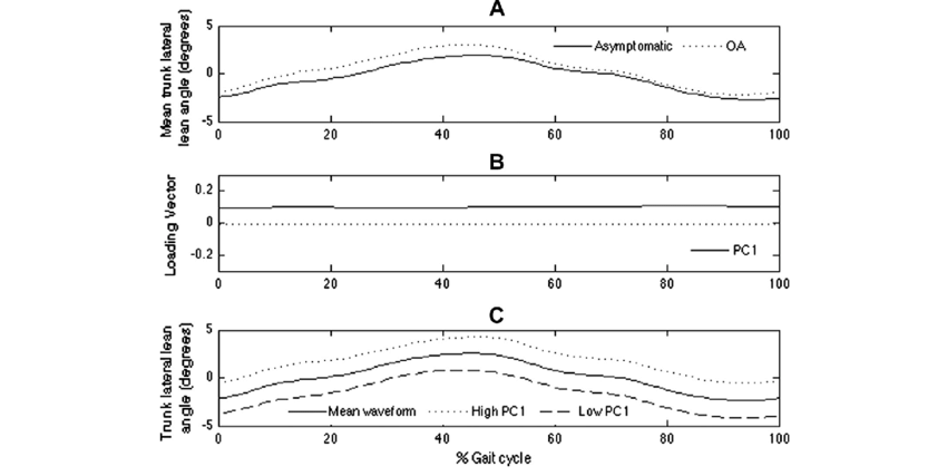 850x427 A Average Trunk Lateral Lean Waveforms For Each Group