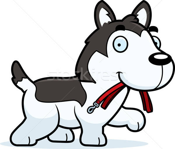 600x511 Cartoon Husky Leash Vector Illustration Cory Thoman