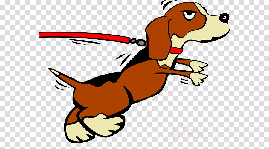 900x500 Dog, Leash, Puppy, Transparent Png Image Clipart Free Download