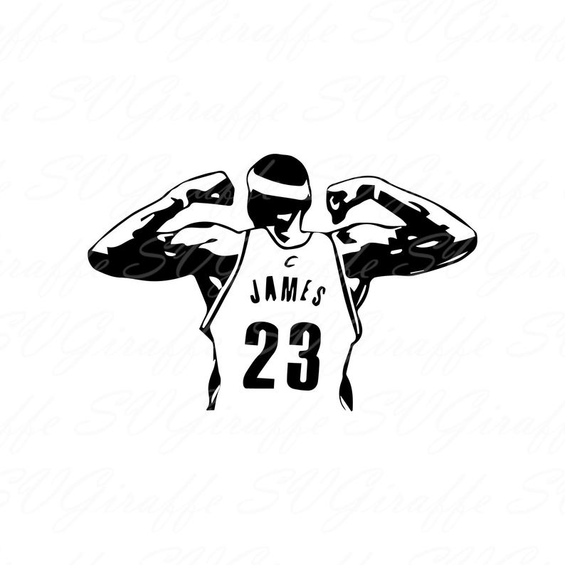 lebron silhouette shoes