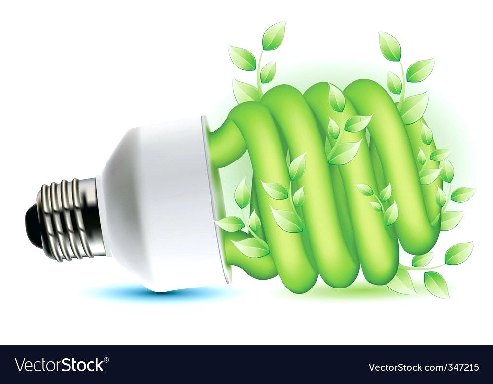1000x780 Friendly Bulb Vector Image Eco Light Bulbs Aurora Led