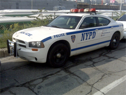 250x188 Brothers On Fire Productions