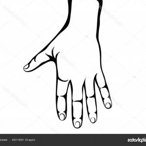 300x300 Stock Illustration Back Of The Left Hand Sarahgardan