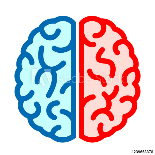500x500 Left And Right Brain Vector Icon