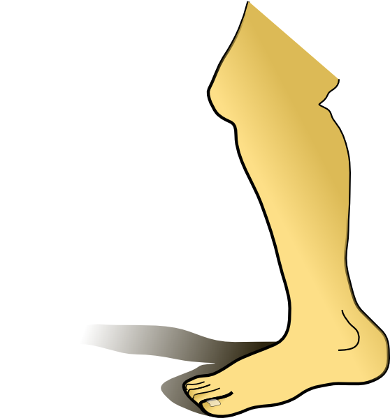 Leg Clip Art 558x599 Leg Clip Art