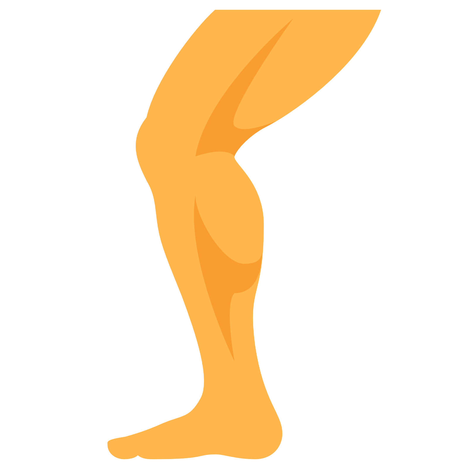 Leg Vector At Collection Of Leg Vector Free For Personal Use 