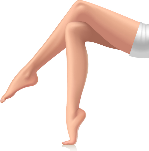 Beautiful Female Legs Vector Material Free Download 600x609 Beautiful Female Legs Vector Material Free Download