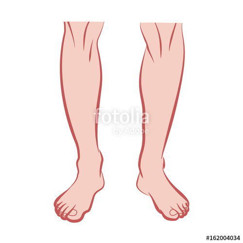 Leg Vector at Vectorified.com | Collection of Leg Vector free for ...