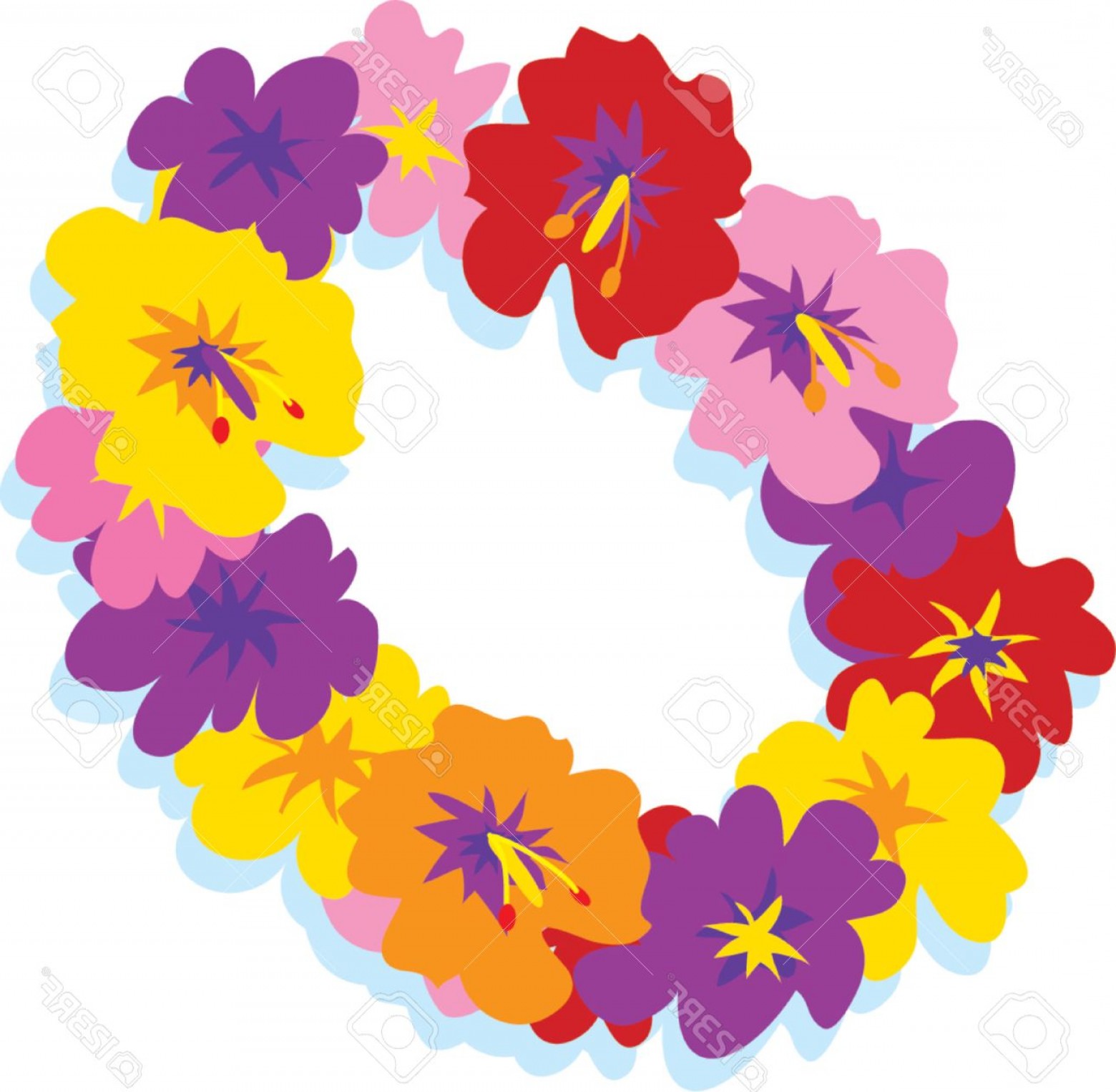 1560x1526 Photohawaiian Lei With Big Colorful Hibiscus Flowers Soidergi