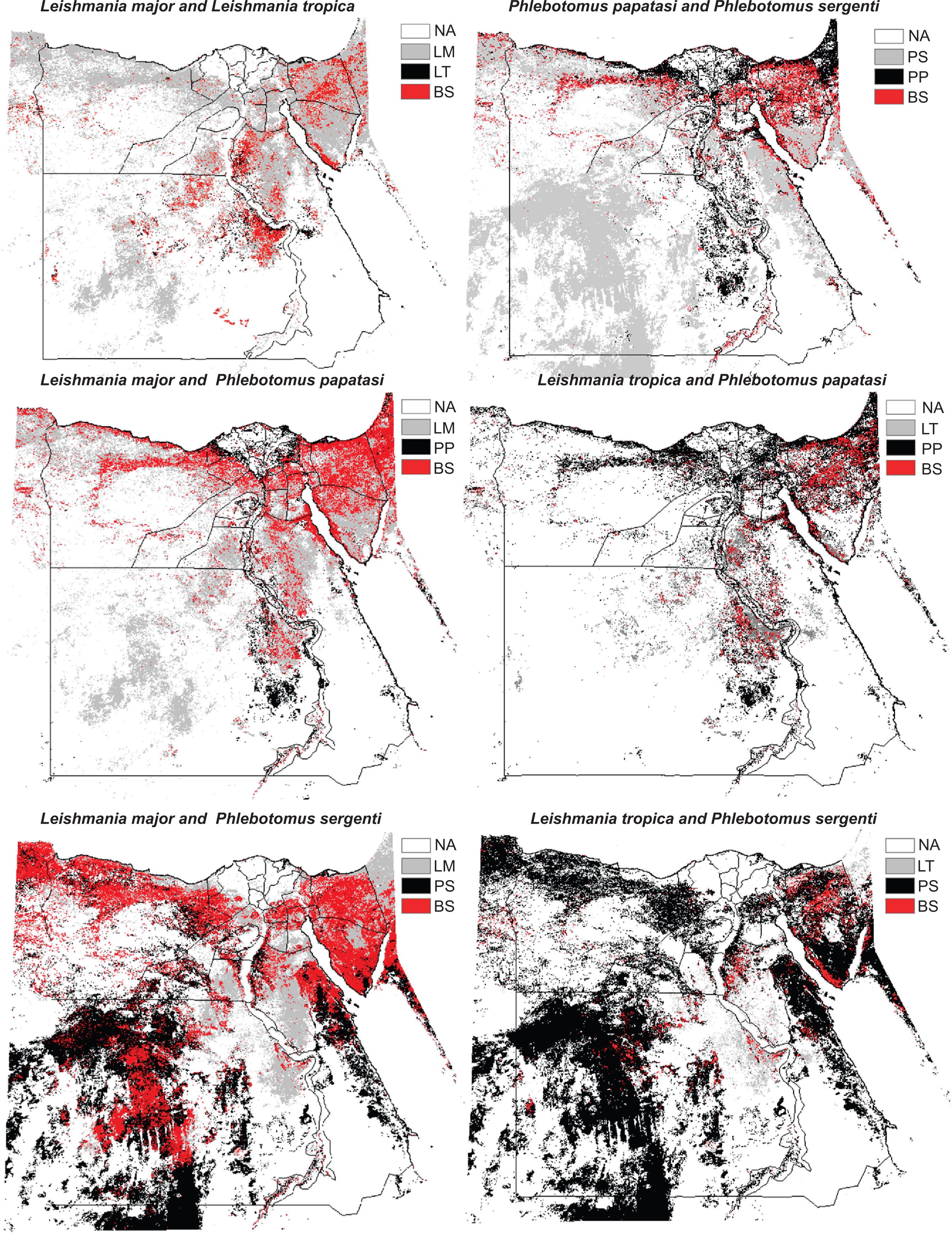 2682x3480 Leishmaniasis Transmission Distribution And Coarse Resolution