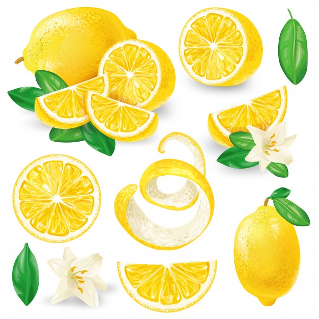 626x626 Lemon Slice Vectors, Photos And Free Download
