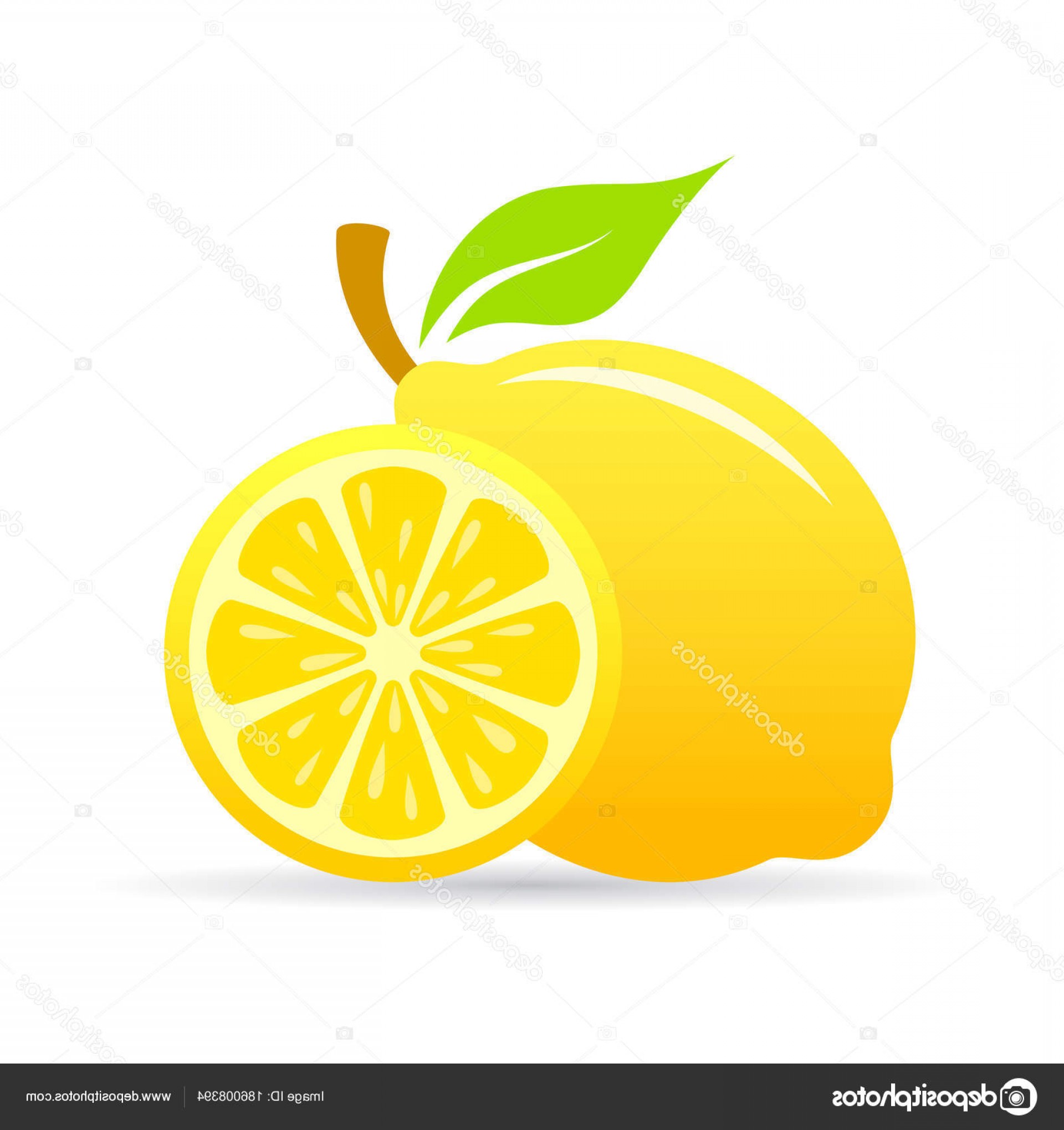 1920x2040 Lemon Wedge Vector Lamaison