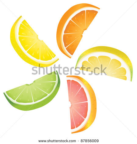 450x470 Lemon Slice Vector Stock