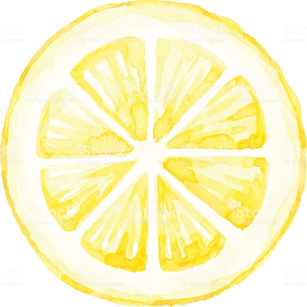 1024x1023 Vector Illustration Of Lemon Slice Seafood Clipart