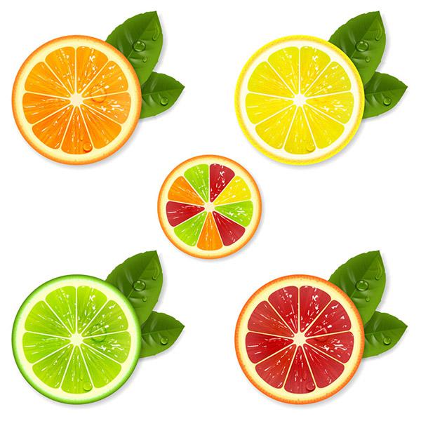 600x600 Color Lemon Slice Vector Image