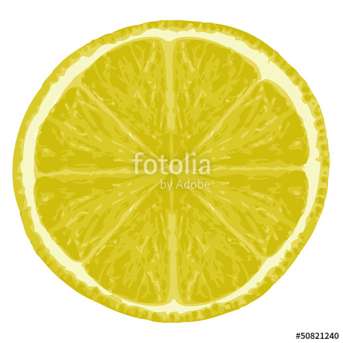 500x500 Fresh Lemon And Lemon Slice Vector Illustration Stock Image