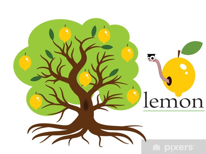 700x525 Lemon Tree,vector Wall Mural