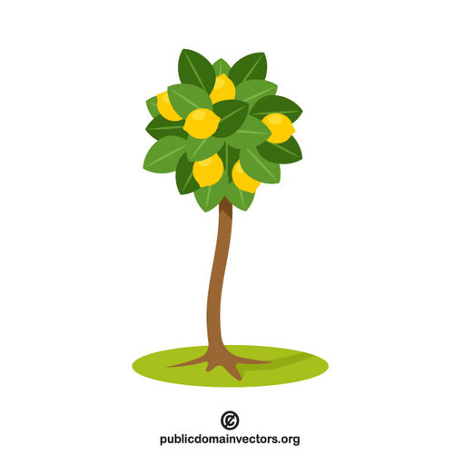 500x500 Lemon Tree Vector Clip Art