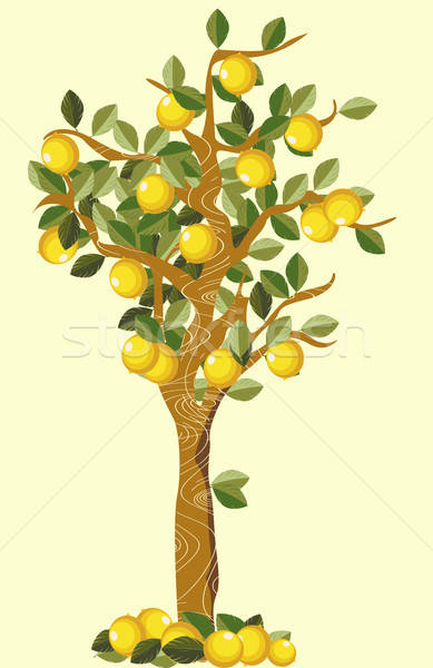 389x600 Lemon Tree Vector Illustration Richard Laschon