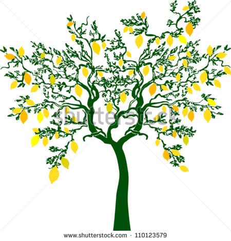 450x470 Lemon Tree Isolated On White Background Vector Illustration