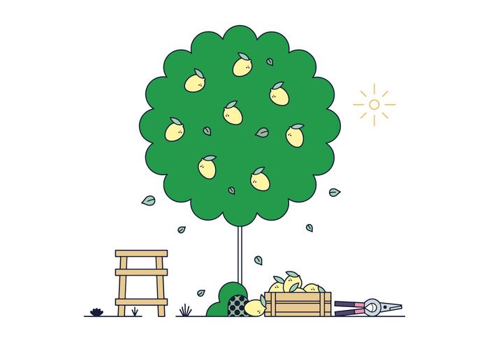 700x490 Free Lemon Tree Vector