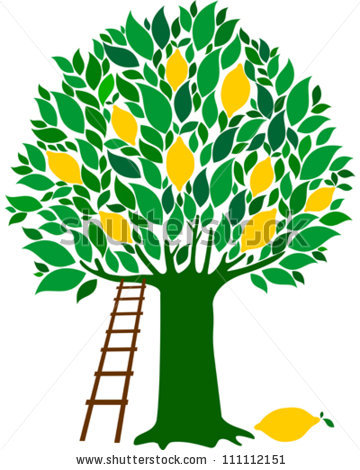 360x470 Lemon Tree Clipart Group With Items