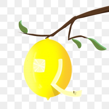 360x360 Lemon Tree Png, Vector, And Clipart With Transparent