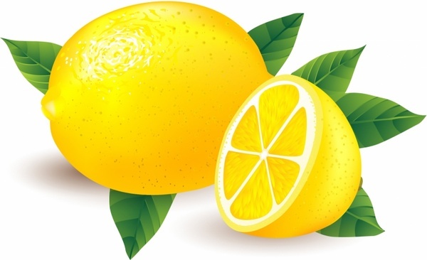 600x366 Lemon Leaf Free Vector Download