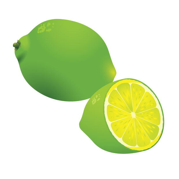 620x620 Lemon Vector