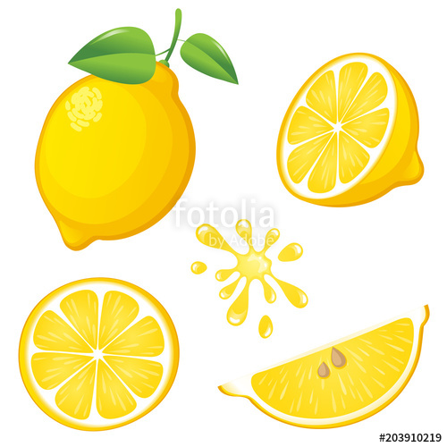 500x500 Fresh Lemon Vector Illustration Stock Image And Royalty Free