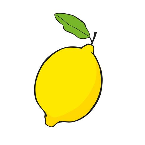 490x490 Lemon Vector Icon Illustration