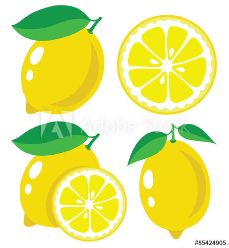 462x500 Lemon Vector Illustration