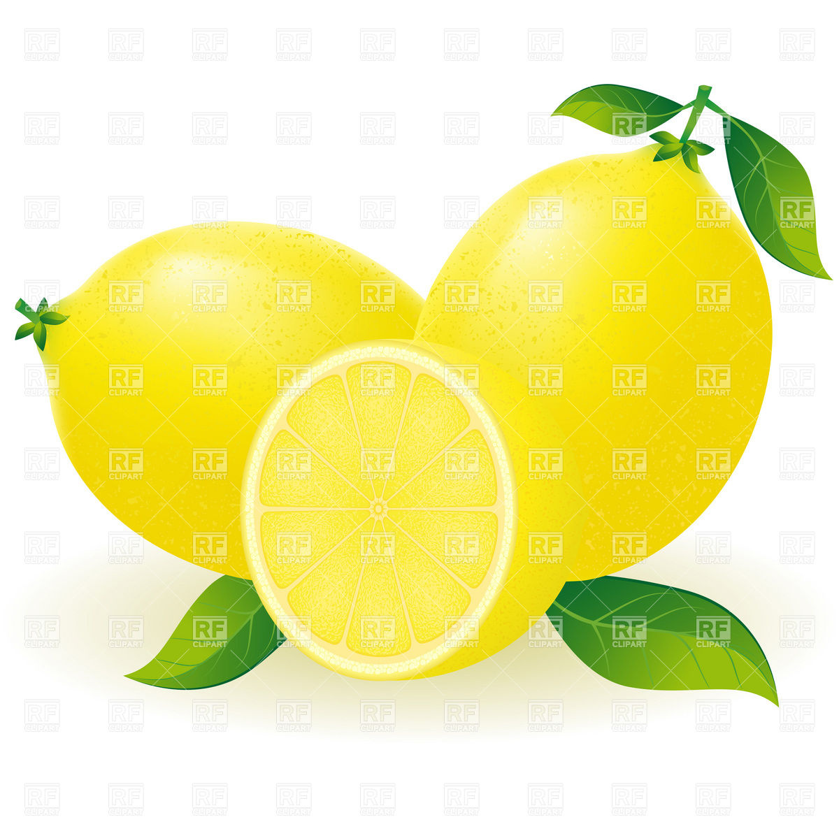 1200x1199 Lemon With Segment Vector Image Of Plants And Animals Konturvid