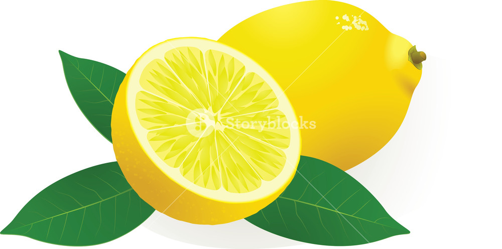 1000x496 Lemon Vector Royalty Free Stock Image