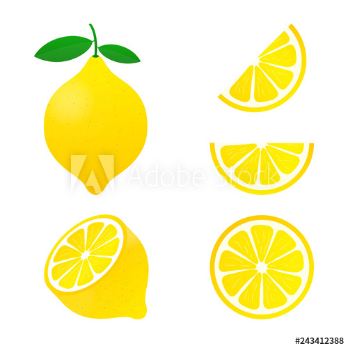 500x500 Lemon Yellow Lemon Vector Illustration Isolated On White