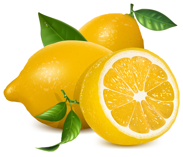 600x513 Fresh Lemon Vector Illustration Free Download