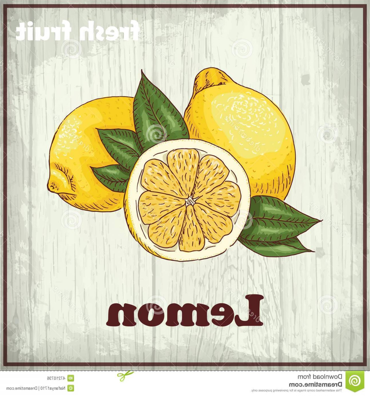 1560x1668 Stock Illustration Fresh Fruit Sketch Background Vintage Hand