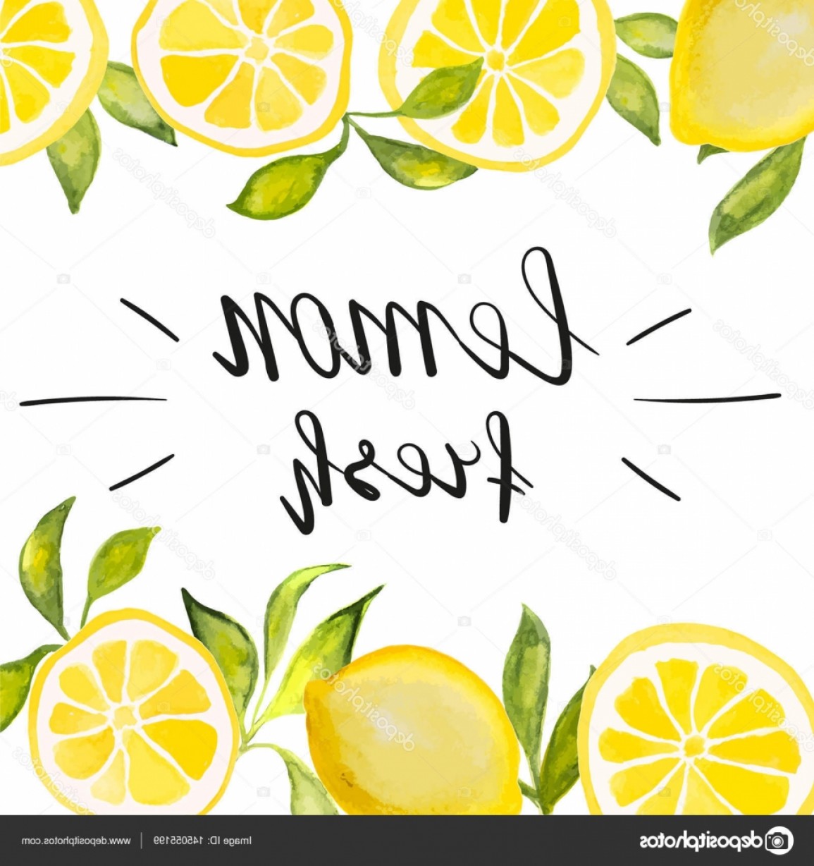 1155x1228 Stock Illustration Watercolor Lemon Vector Illustration Catchsplace