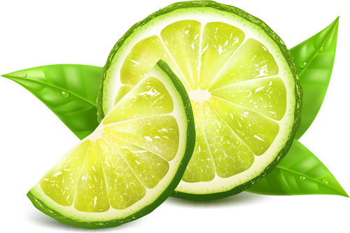 500x333 Vector Juicy Lemon Free Vector Download
