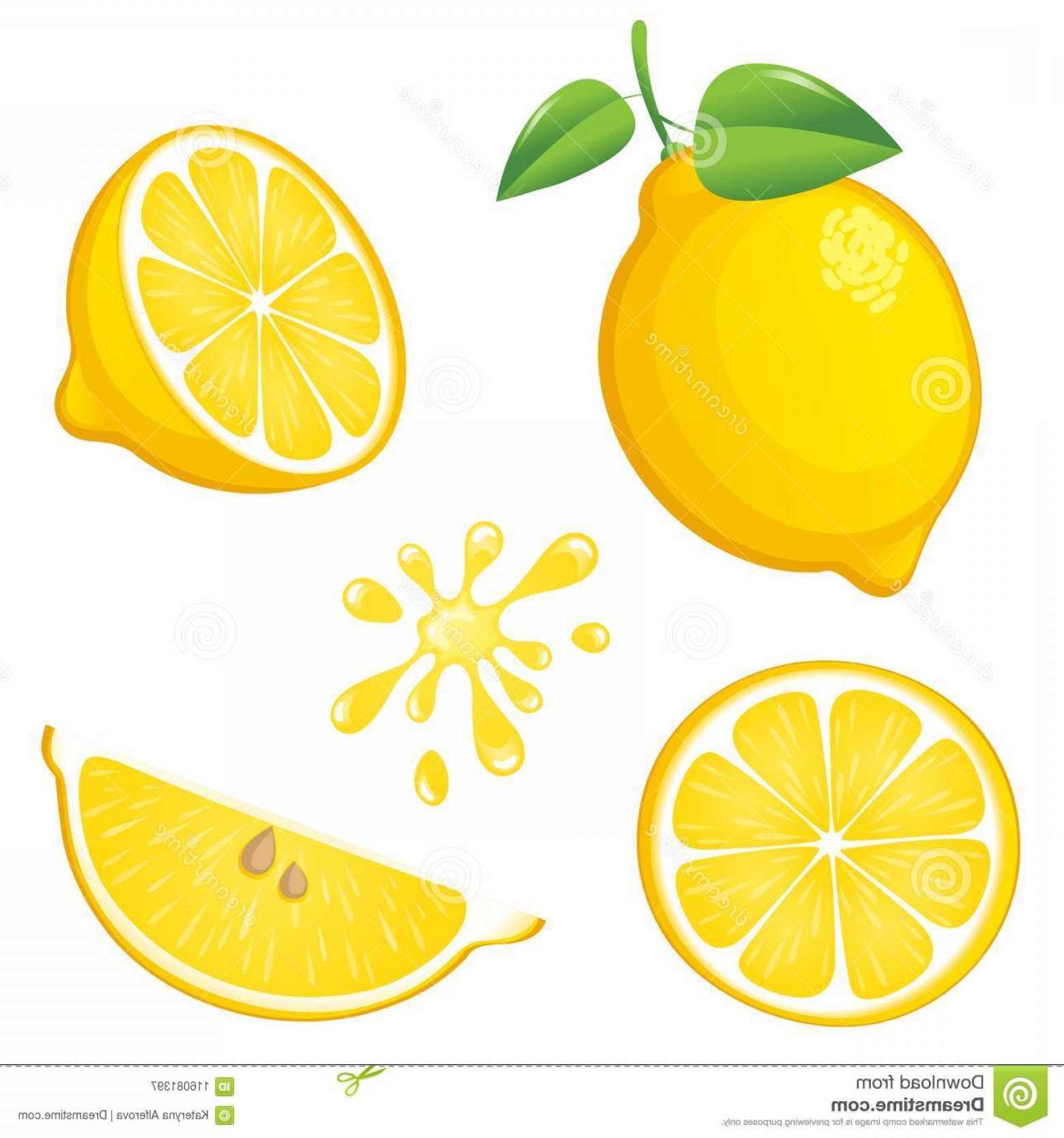 1560x1668 Lemon Vector Catchsplace