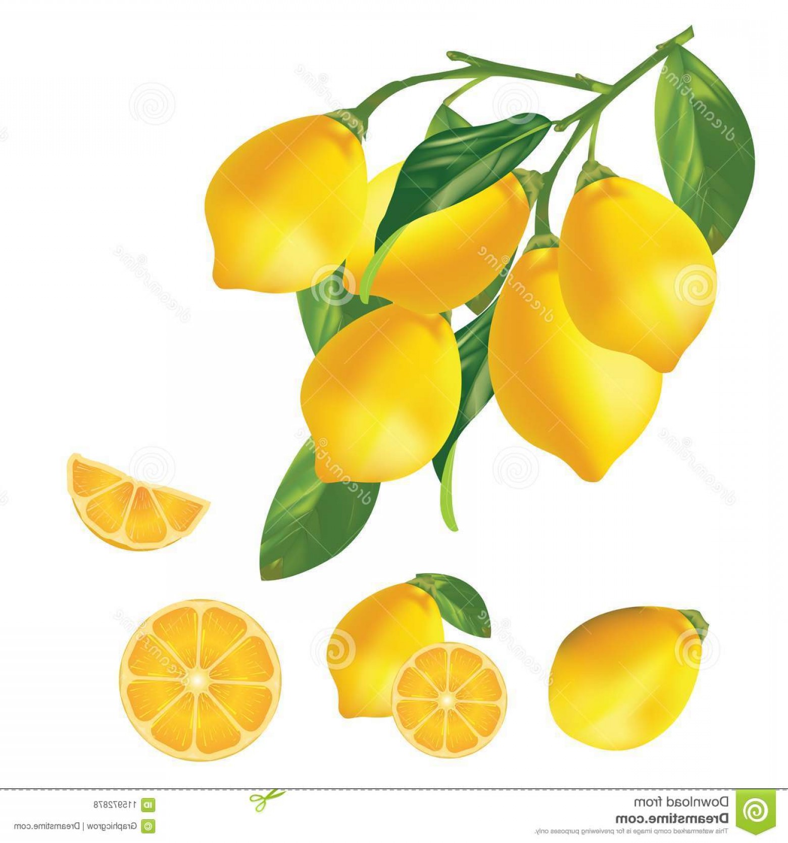 1560x1668 Lemon Vector Art Iniikim