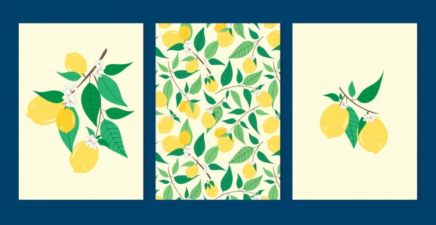 626x323 Lemon Vectors, Photos And Free Download