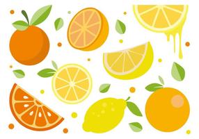 286x200 Citrus Free Vector Art